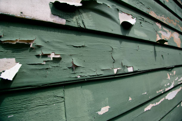 Best Scrap Metal Removal  in Central City, IA